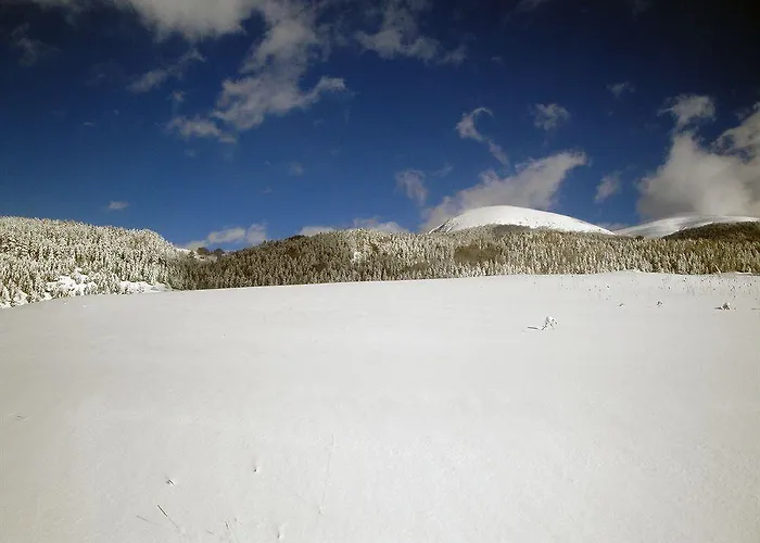 Club Primula Отель