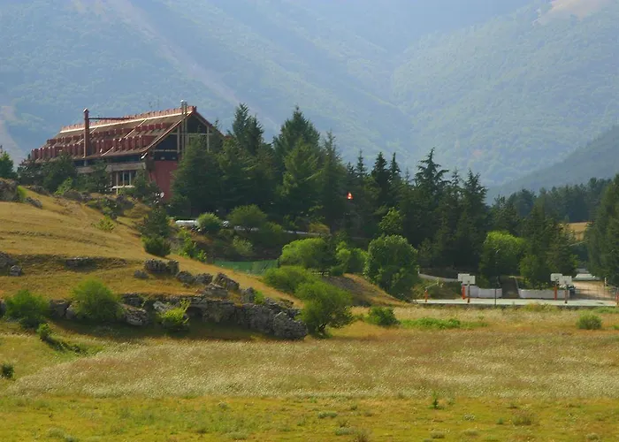 Отель Club Primula