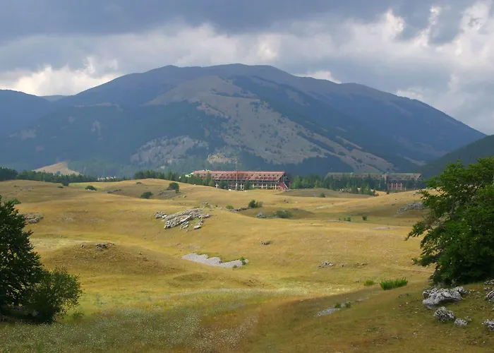 Club Primula Отель